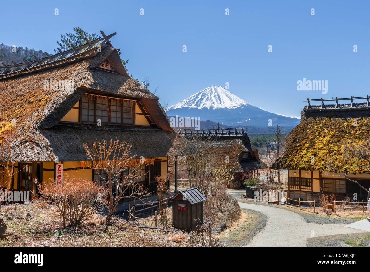 Open-air museum Iyashinosato, vecchio villaggio Giapponese con le tradizionali case in paglia, back vulcano Mt. Fuji, Fujikawaguchiko, Giappone Foto Stock