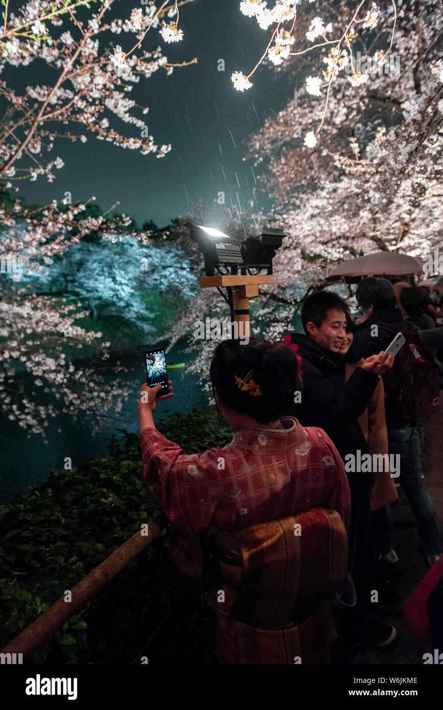 Turisti e giapponese in fioritura schiume ciliegia di notte, giapponese la fioritura dei ciliegi in Primavera, Hanami Festival, Chidorigafuchi Green Way, Tokyo Foto Stock