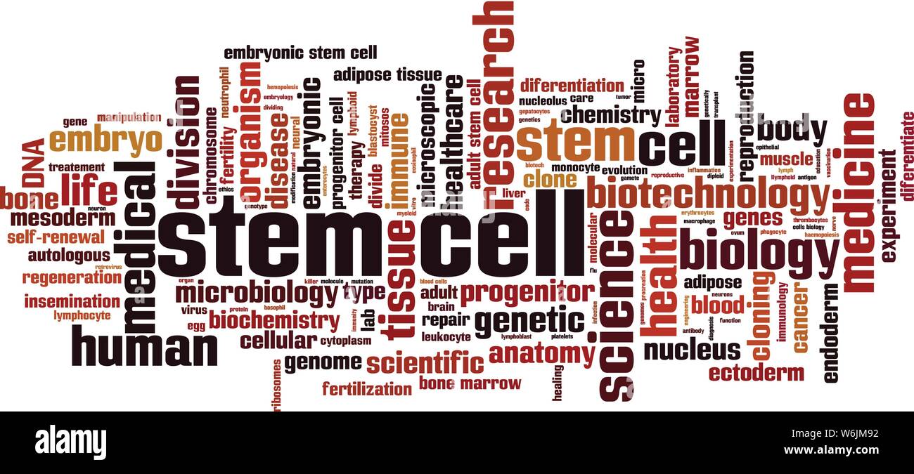 Cellula staminale parola concetto di cloud computing. Collage fatto di parole circa le cellule staminali. Illustrazione Vettoriale Illustrazione Vettoriale