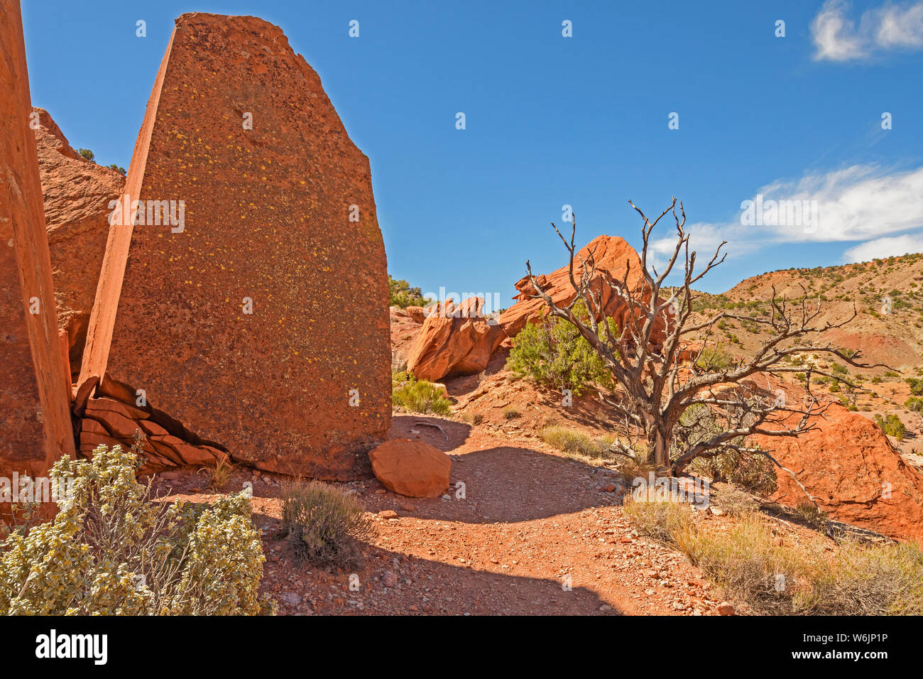 Flat Rock su un sentiero nel deserto a Capitol Reef National Park nello Utah Foto Stock