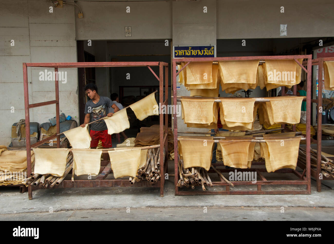 Produzione di gomma è uno dei principali di produzione nel sud della Thailandia Foto Stock