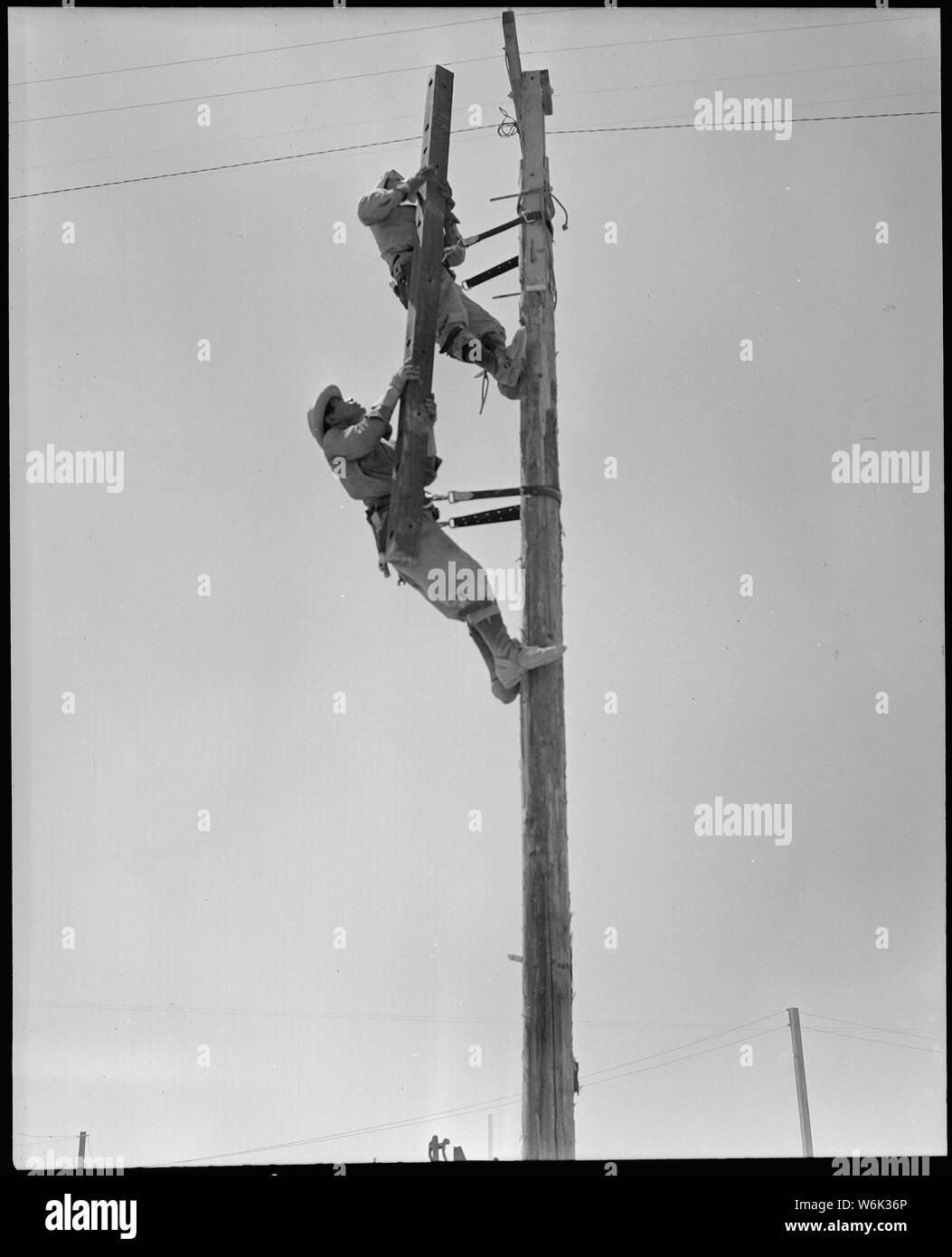 Poston, Arizona. Conservazione civile Corps telefono edificio equipaggio di comunicazioni telefoniche da . . .; Portata e contenuto: tutta la didascalia per questa fotografia si legge: Poston, Arizona. Conservazione civile Corps telefono edificio equipaggio di comunicazioni telefoniche da Parker, Arizona a questo War Relocation competente centro per sfollati di ascendenza giapponese. Foto Stock