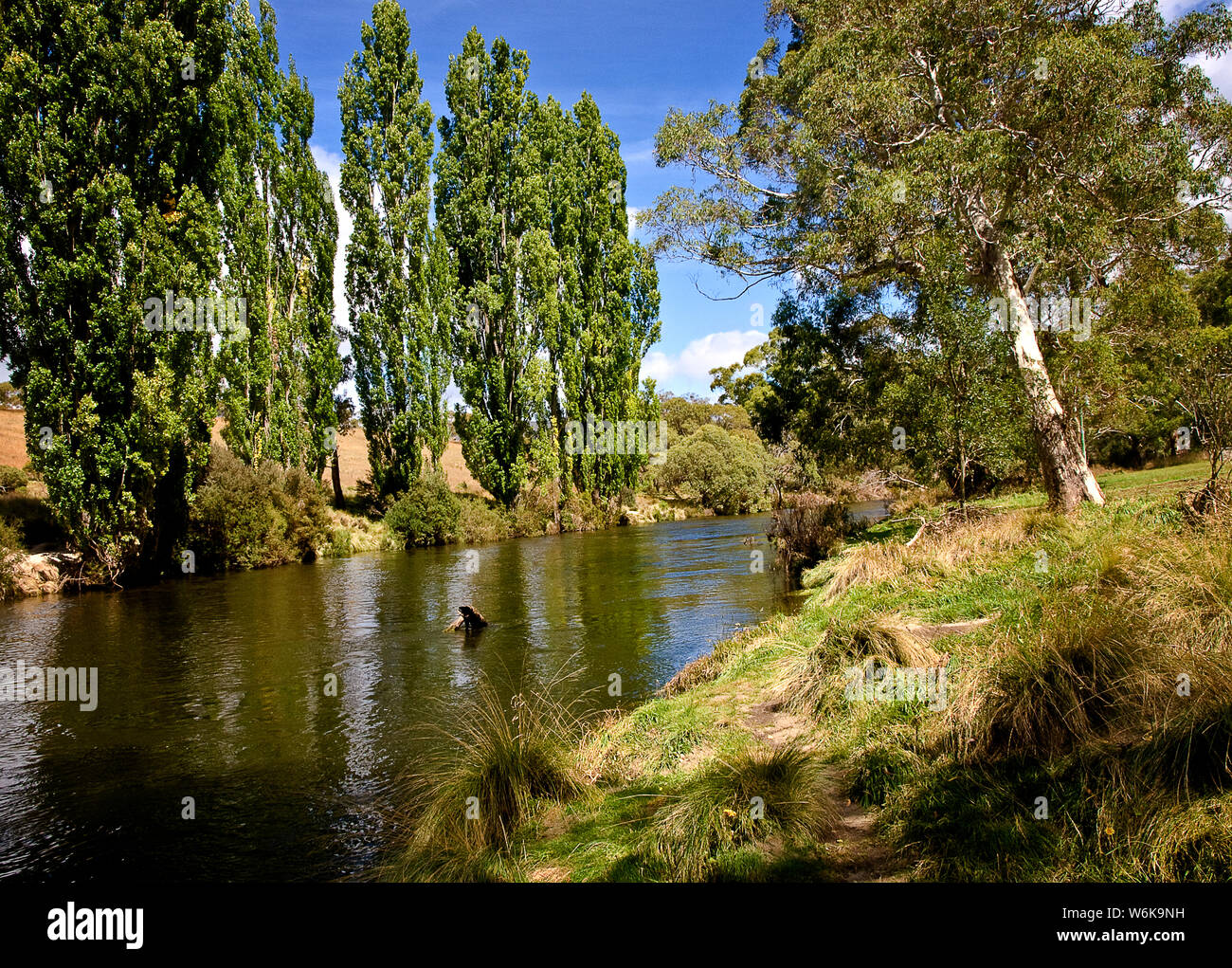 Australia: Thredbo River, montagne innevate, NSW Foto Stock
