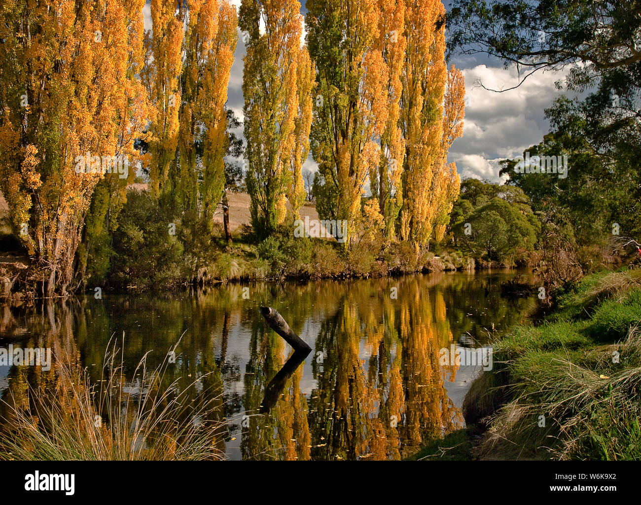 Thredbo River, montagne innevate, NSW, Australia con pioppi in autunno colori riflessi nell'acqua Foto Stock