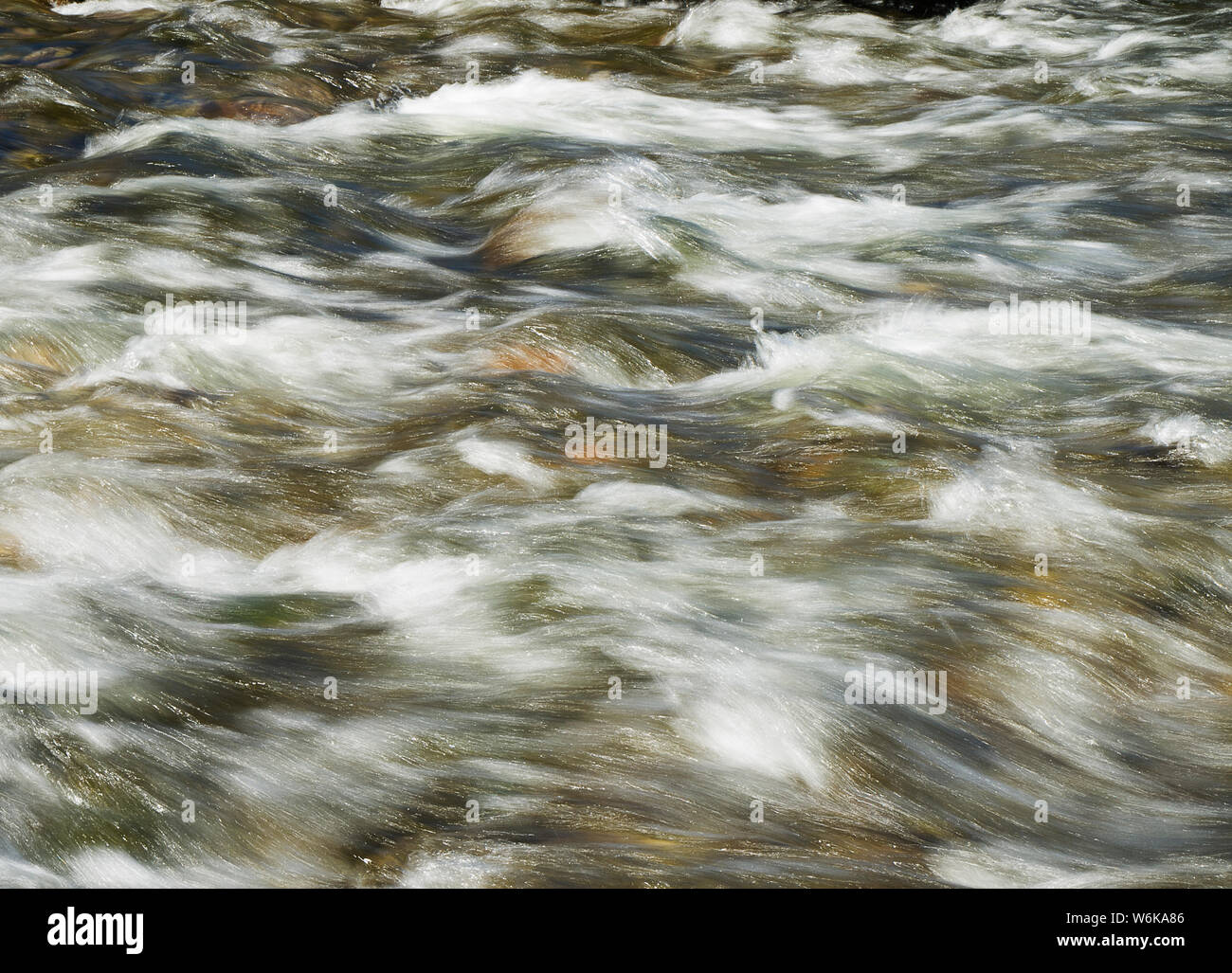 River rapids durante la primavera snowmelt Foto Stock