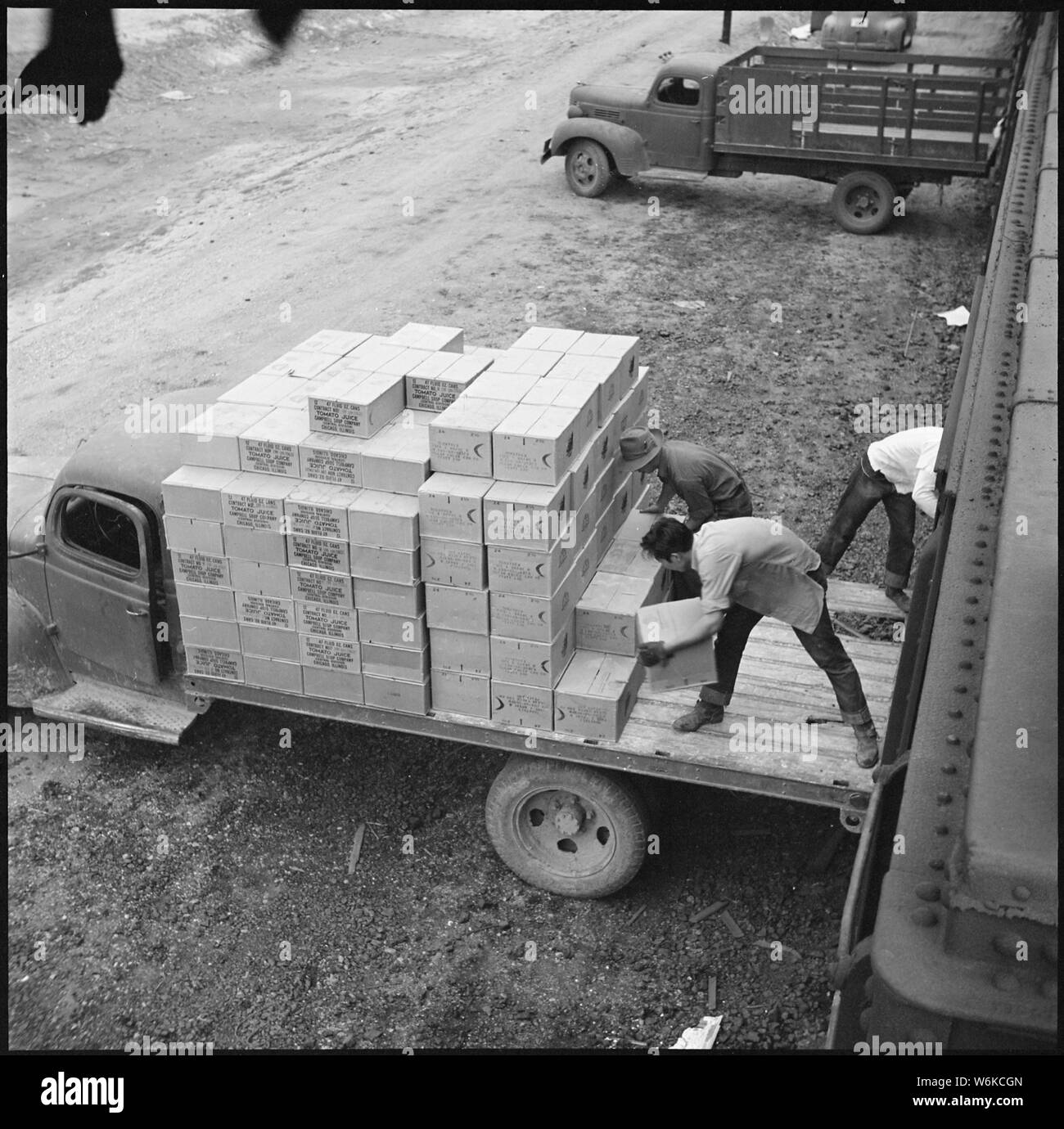 Rohwer Relocation Center, McGehee, Arkansas. Evcauees caricamento di autocarri con forniture per transportati . . .; Portata e contenuto: tutta la didascalia per questa fotografia si legge: Rohwer Relocation Center, McGehee, Arkansas. Evcauees autocarri carichi di materiali per il trasporto al magazzino a questo relocation center. Foto Stock