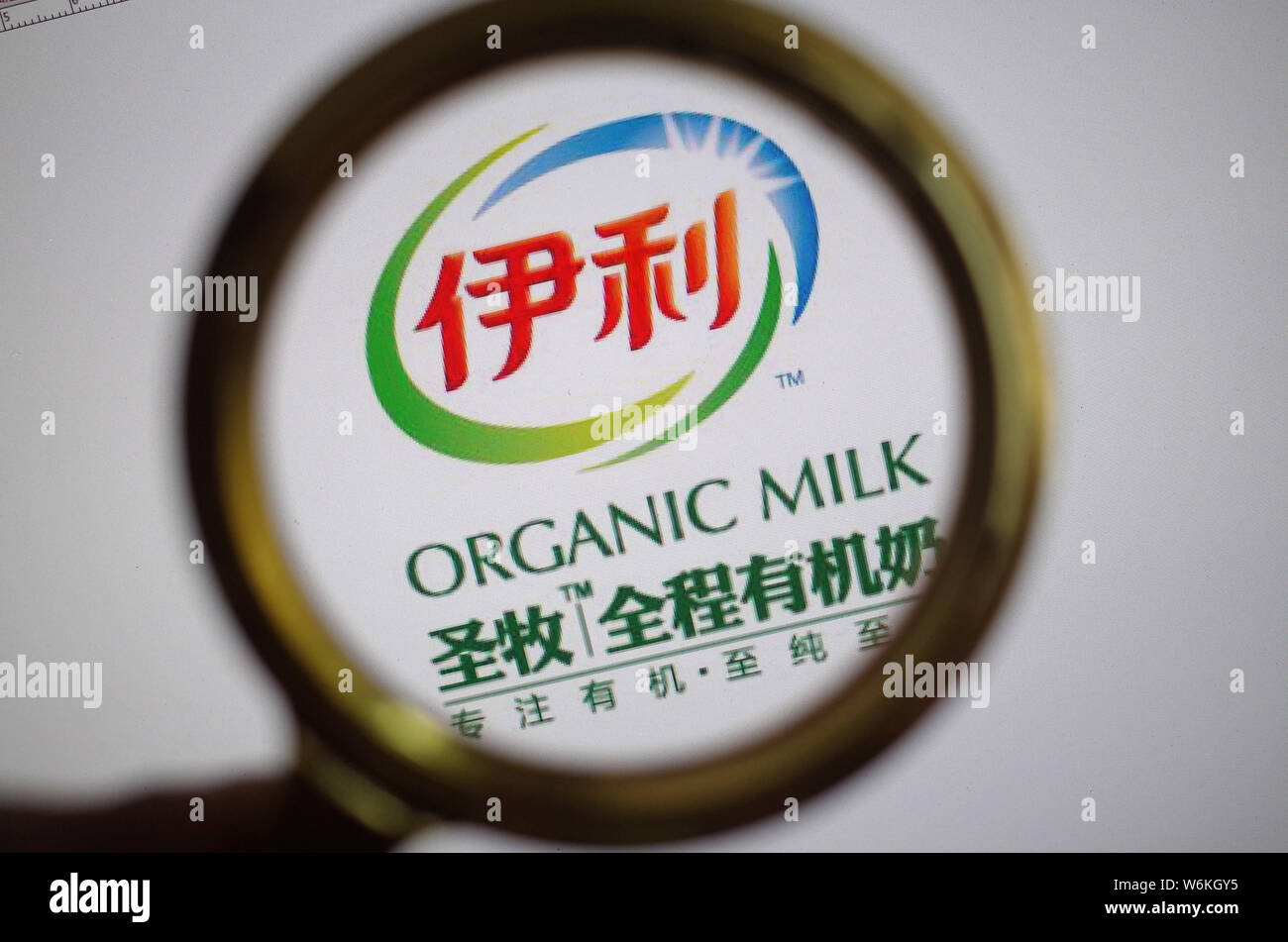--FILE--un netizen guarda al logos di Yili e Shengmu latte biologico in Ji'nan city, est della Cina di provincia di Shandong, 26 ottobre 2016. Cinese leader d Foto Stock