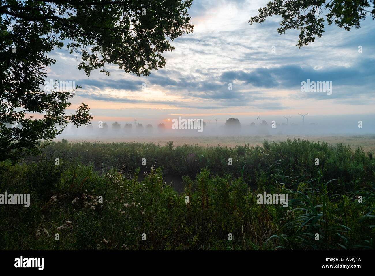 Nella luce del mattino la nebbia sui campi Foto Stock