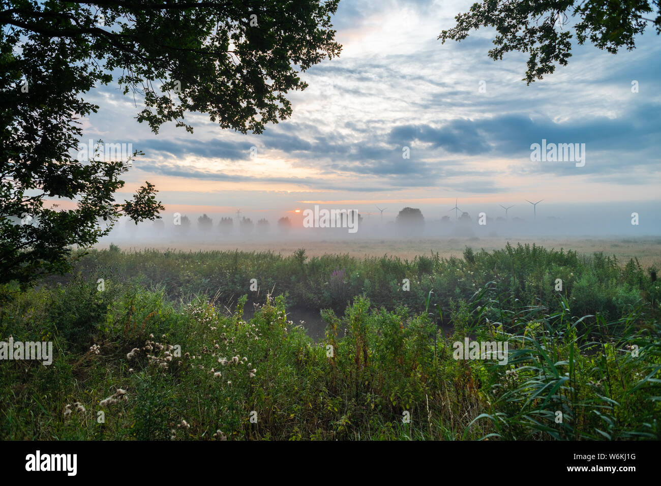 Nella luce del mattino la nebbia sui campi Foto Stock