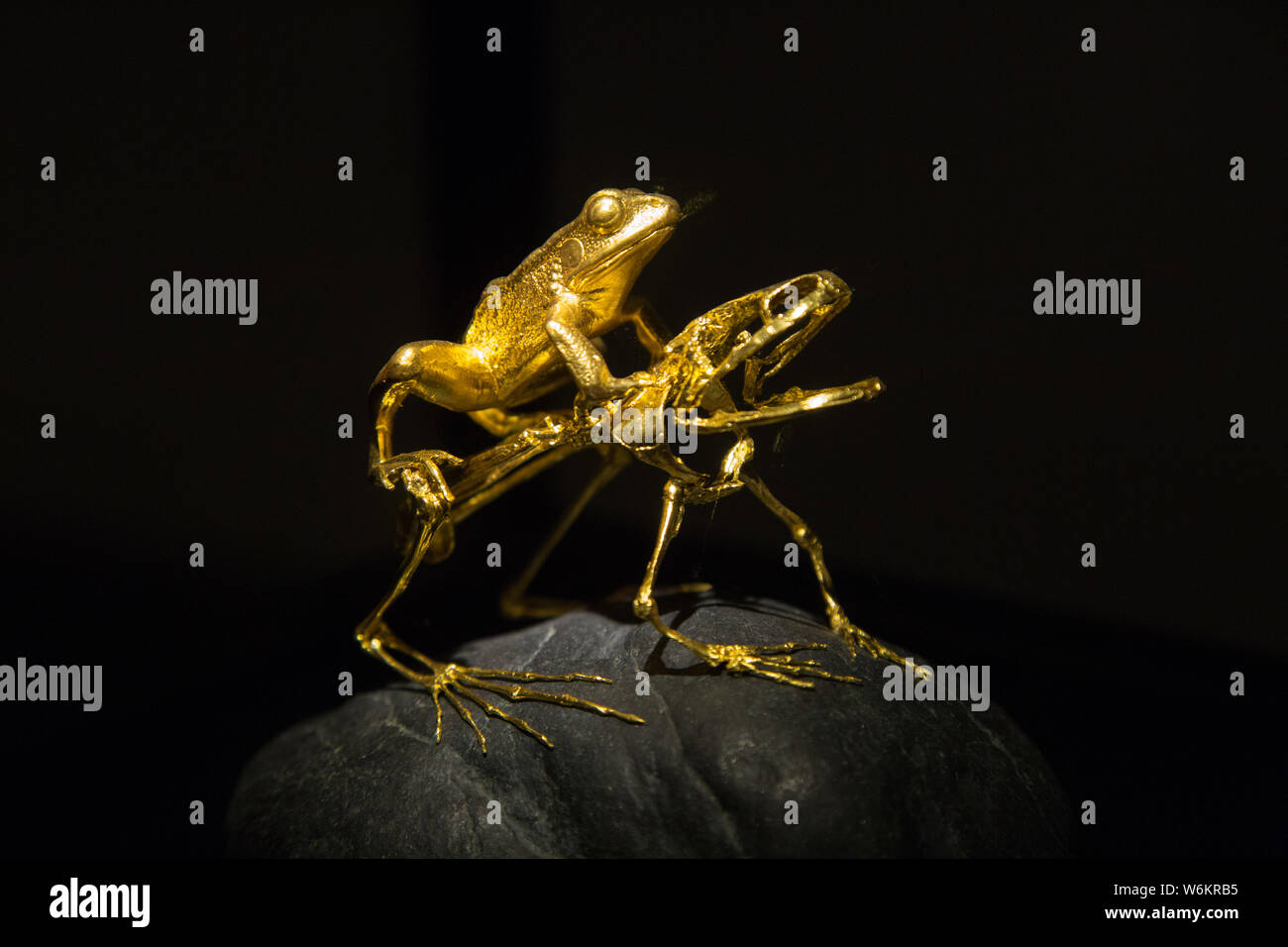 Una illustrazione di oro in forma di rane creato da scultore Taiwanese Wu Ching è sul display durante l'oro e legno mostra a Zhejiang Art Museum Foto Stock