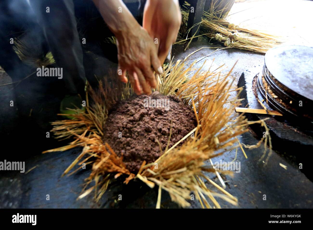 Un Cinese abitante si prepara ad estrarre l'olio di semi di tè dai semi di Camellia oleifera in Liuzhou city, a sud della Cina di Guangxi Zhuang Autonomo Foto Stock