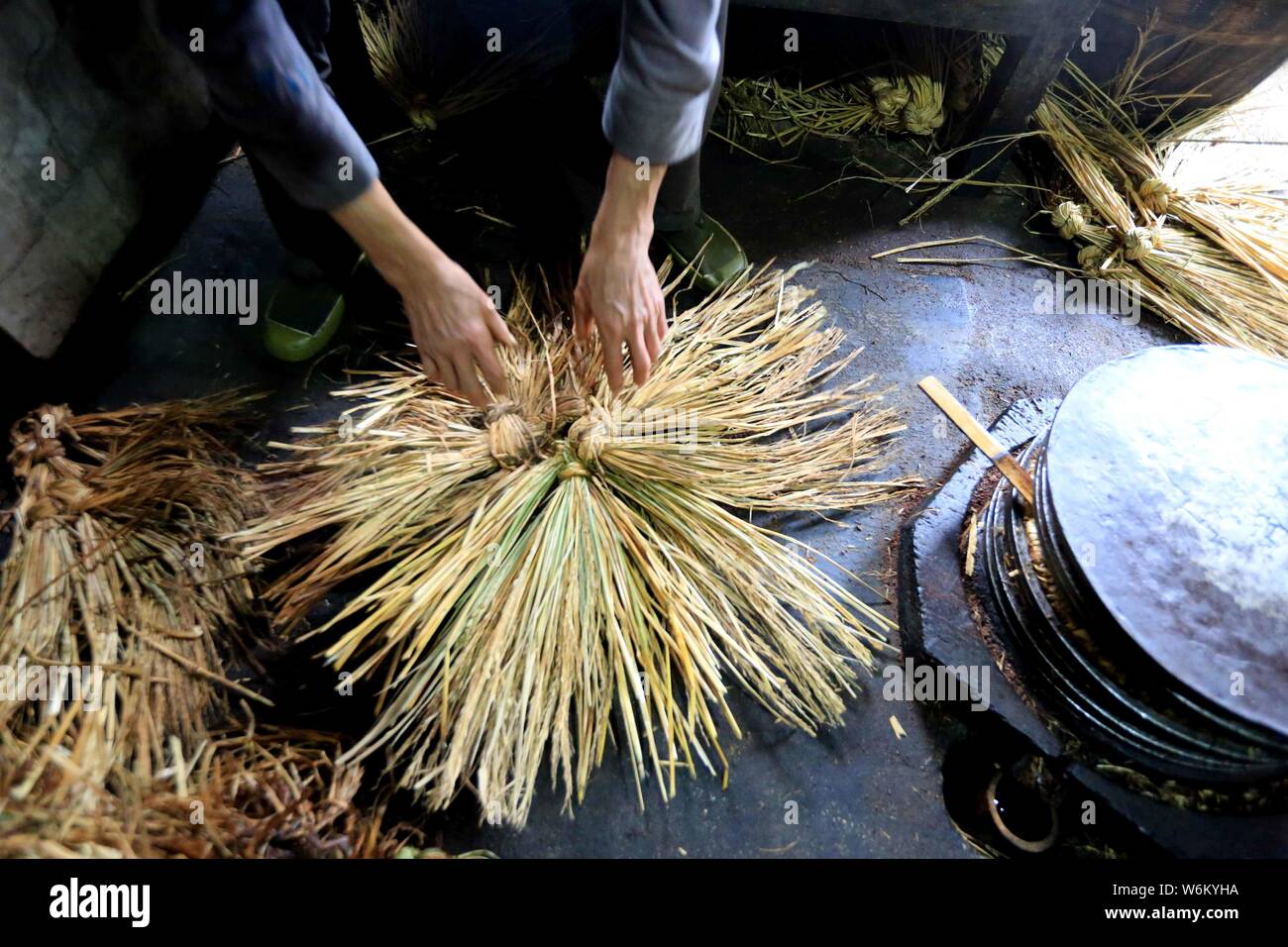 Un Cinese abitante si prepara ad estrarre l'olio di semi di tè dai semi di Camellia oleifera in Liuzhou city, a sud della Cina di Guangxi Zhuang Autonomo Foto Stock