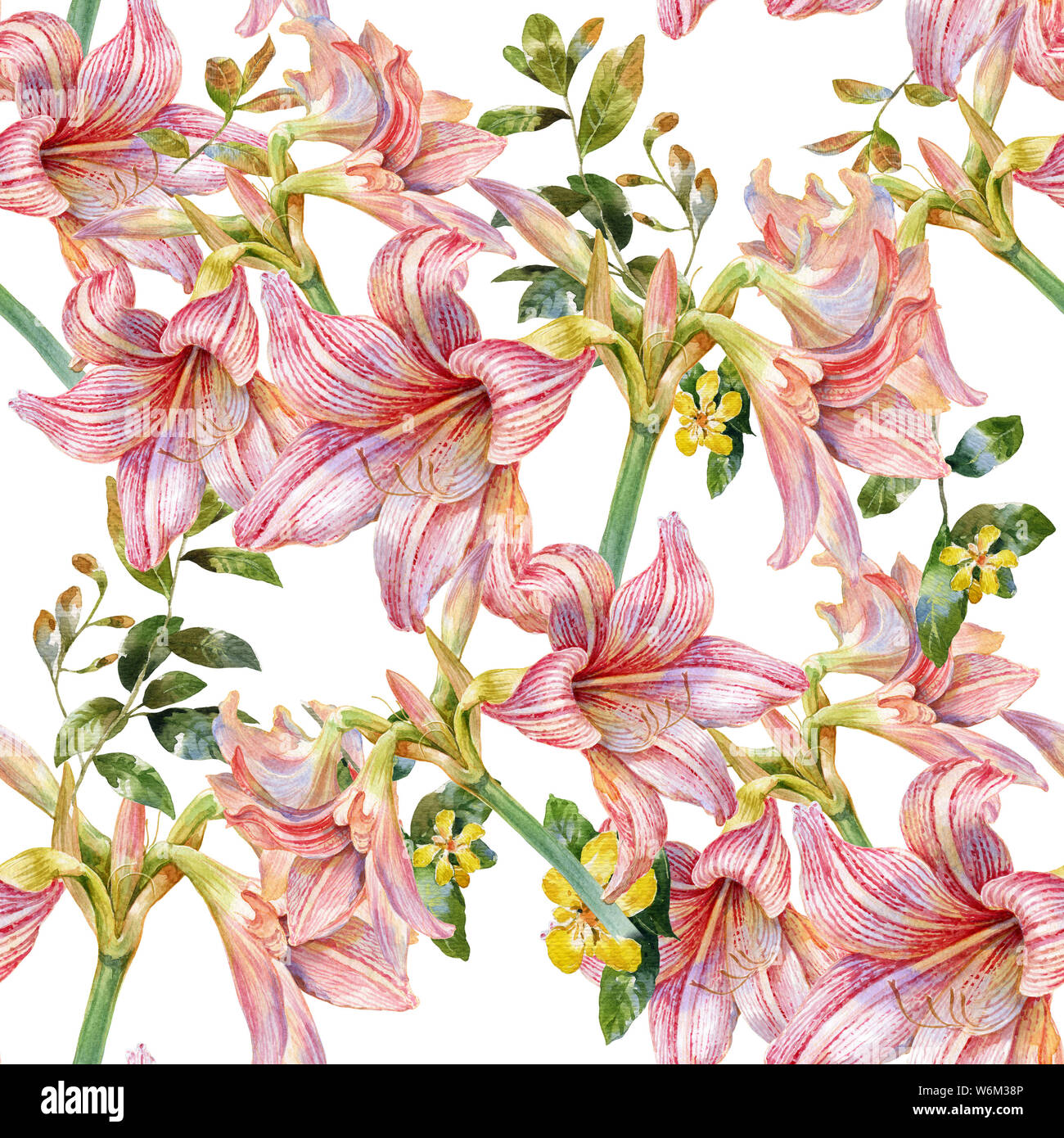 La pittura ad acquerello di foglie e fiori, seamless pattern su sfondo bianco Foto Stock