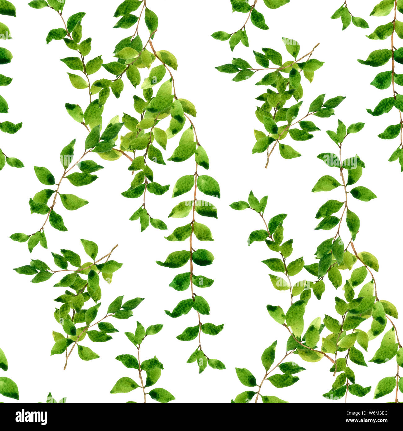 Acquerello illustrazione della foglia, seamless pattern su sfondo bianco Foto Stock