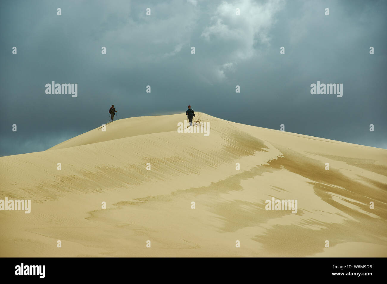 Passeggiate turistiche alle dune al deserto dei Gobi, Mongol Els. Foto Stock