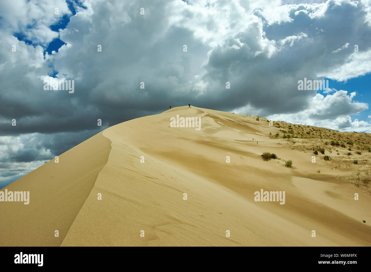 Passeggiate turistiche alle dune al deserto dei Gobi, Mongol Els. Foto Stock