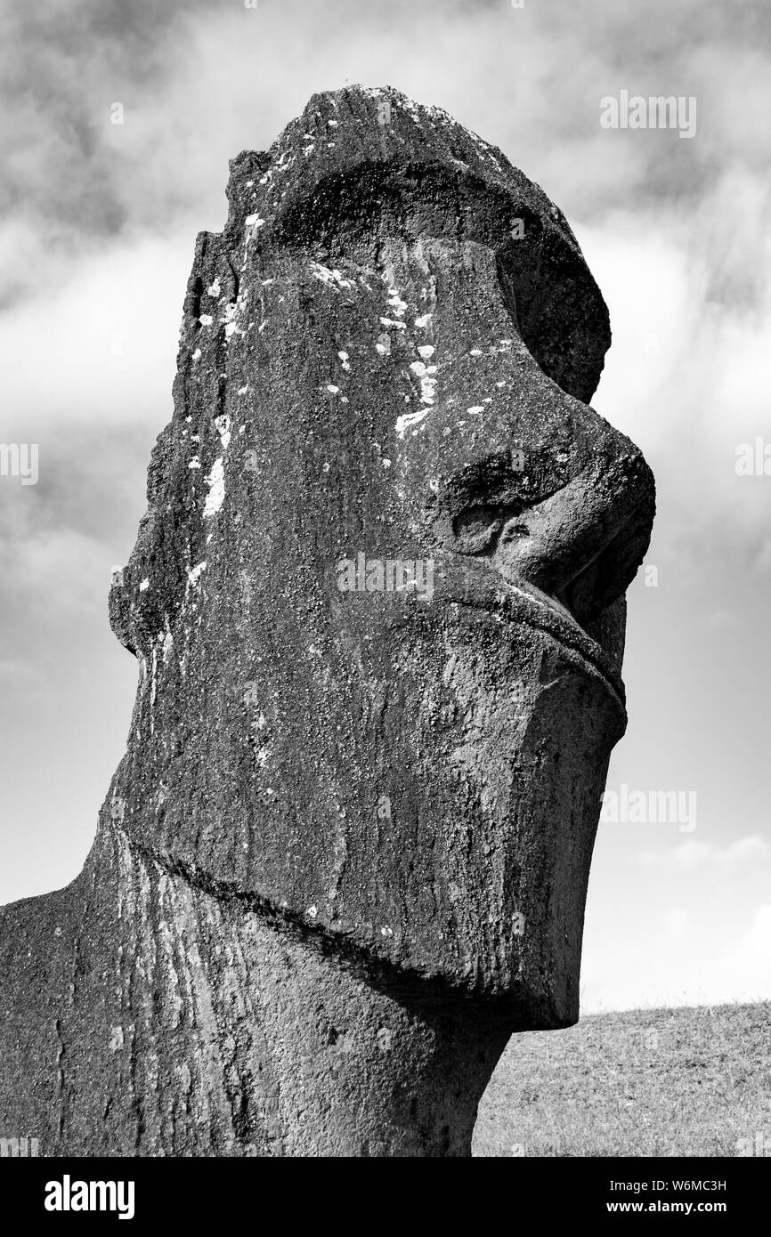 Moai statue sull isola di pasqua a Rano Raraku cava. Foto Stock