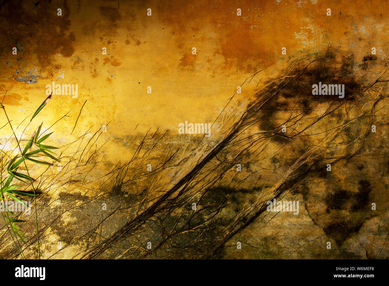 Grunge giallo parete dipinta nel vecchio edificio cinese Foto Stock