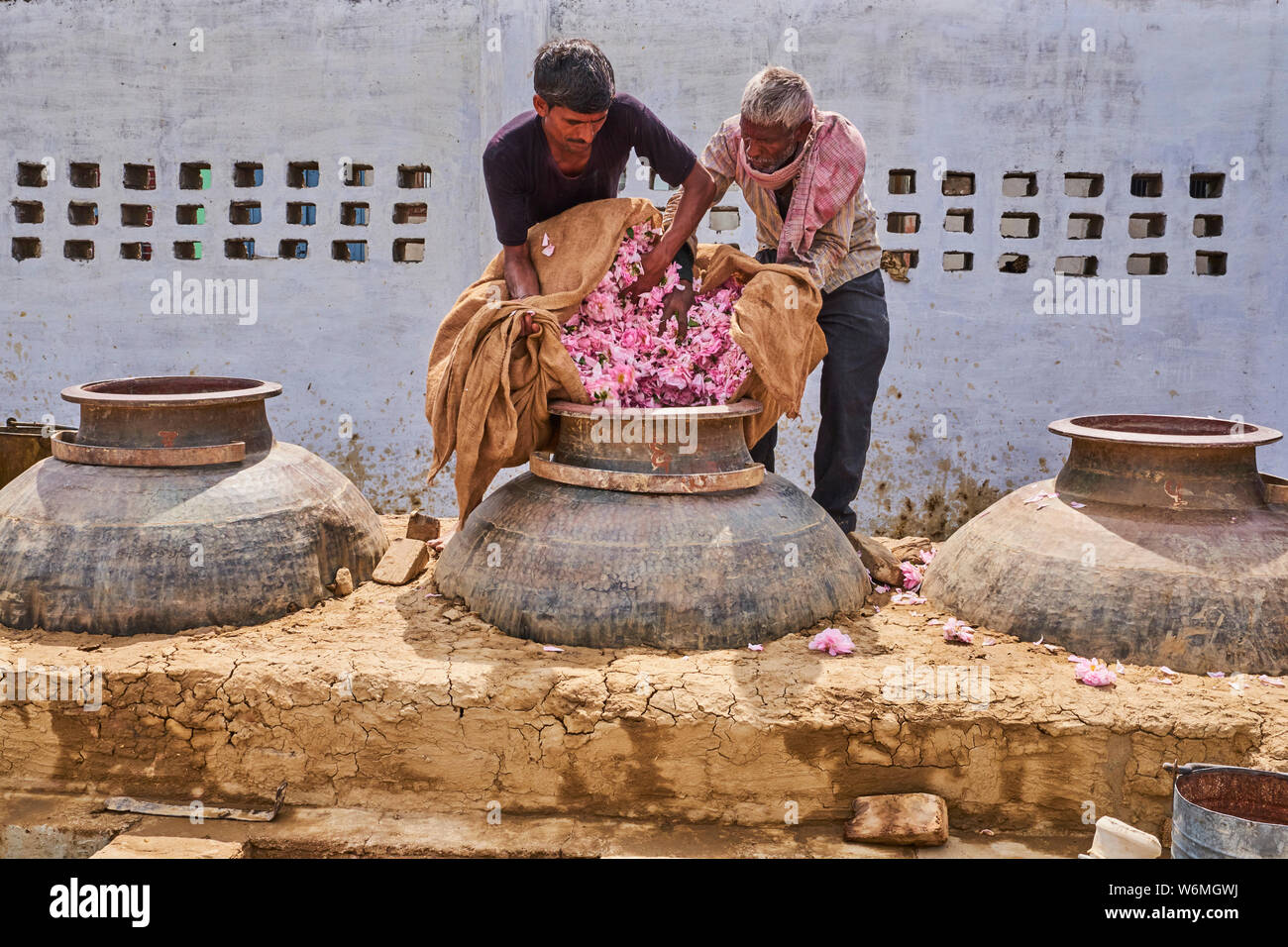 India, Uttar Pradesh, la città dei profumi in cui le rose sono acqua distillata per l'industria dei profumi Foto Stock