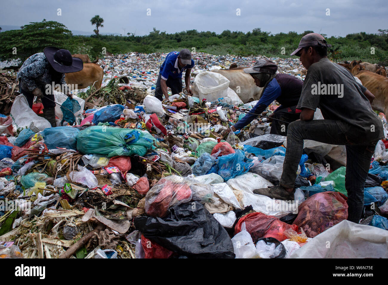 Lhokseumawe, Indonesia. 01 Ago, 2019. Gli accettori di prelevamento in plastica utilizzato in corrispondenza di un sito di discarica in Lhokseumawe, nella provincia di Aceh. I dati provenienti dal Fondo mondiale per la natura (WWF), circa 300 milioni di tonnellate di plastica sono prodotte ogni anno, la maggior parte dei quali finiscono nelle discariche e il mare, inquinando il mare. In effetti, questa è diventata una crisi internazionale che continua a crescere di oggi. Credito: SOPA Immagini limitata/Alamy Live News Foto Stock