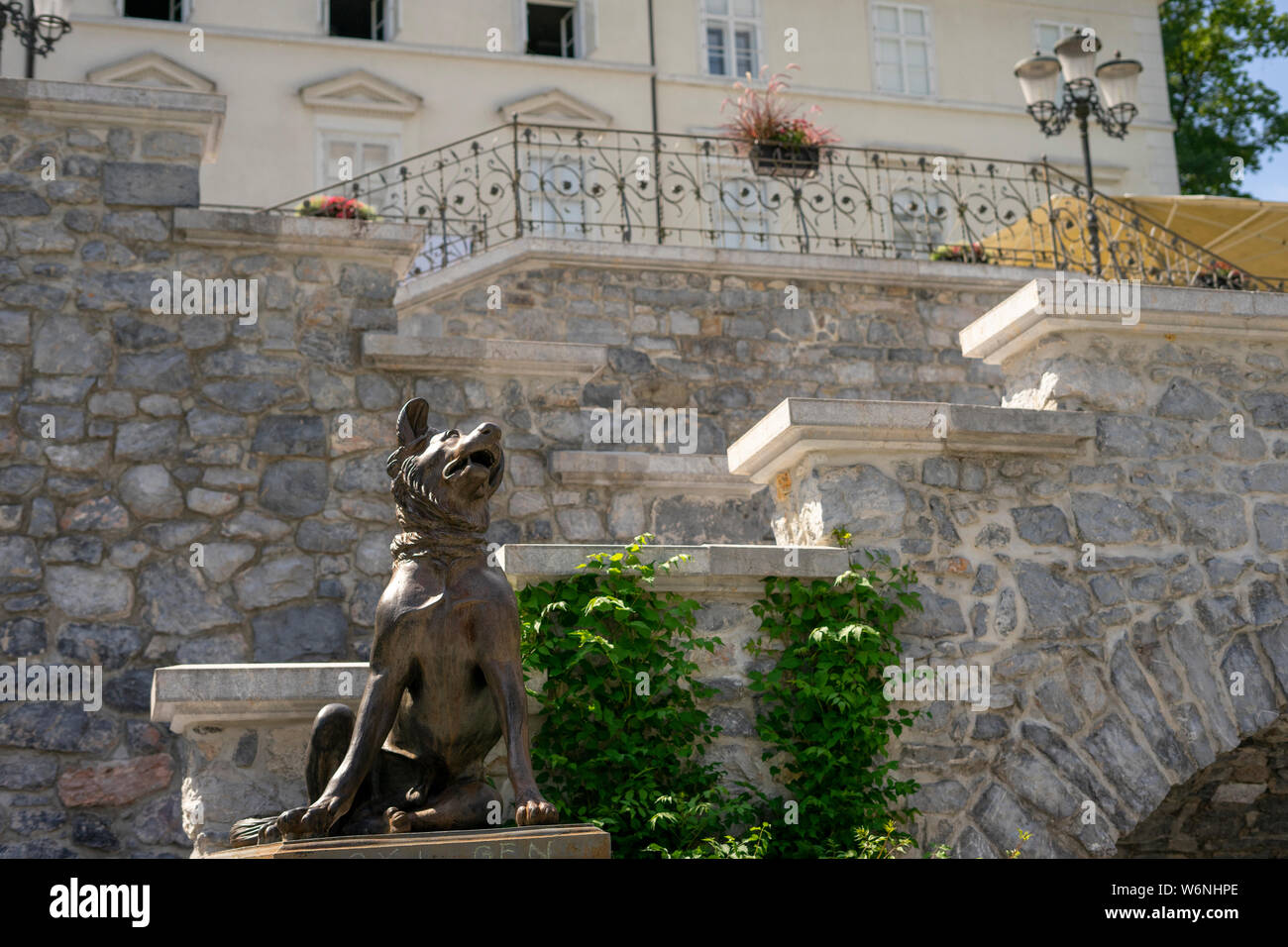 Quattro cani sono la protezione della mansion Foto Stock