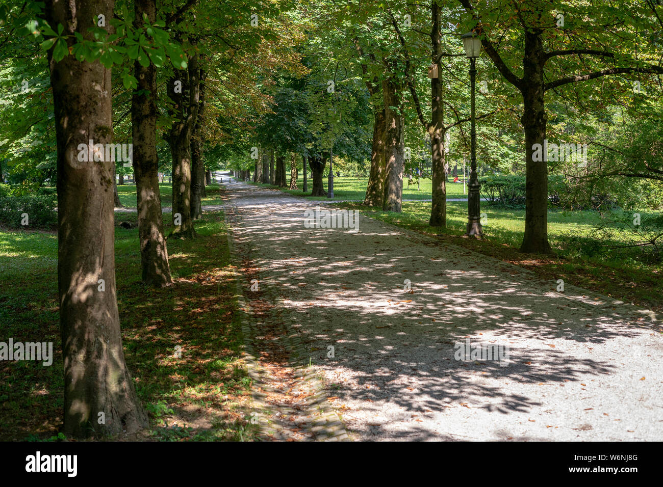 Verde all'aperto Foto Stock