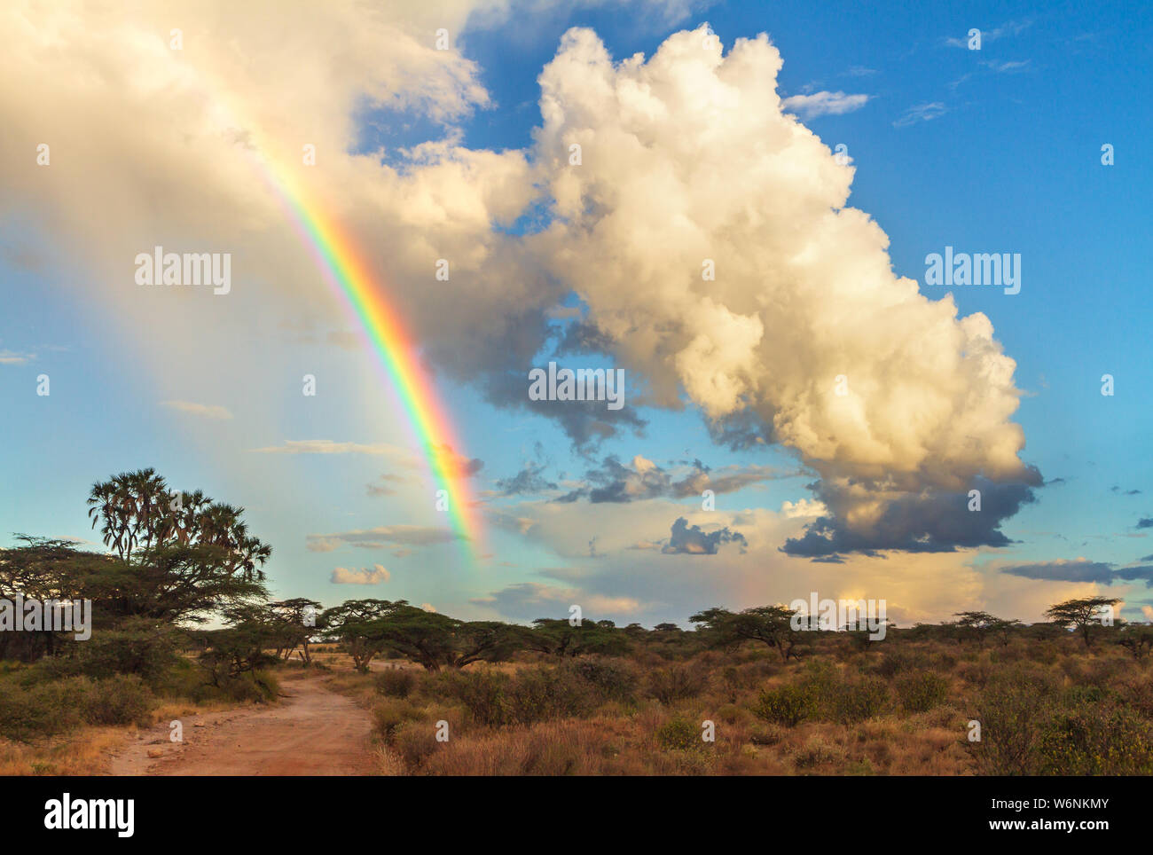 Arcobaleno colorato in blu cielo nuvoloso con safari dirt track road nel Samburu riserva nazionale, Kenya, Africa orientale. Unità di Safari in viaggio africano desti Foto Stock