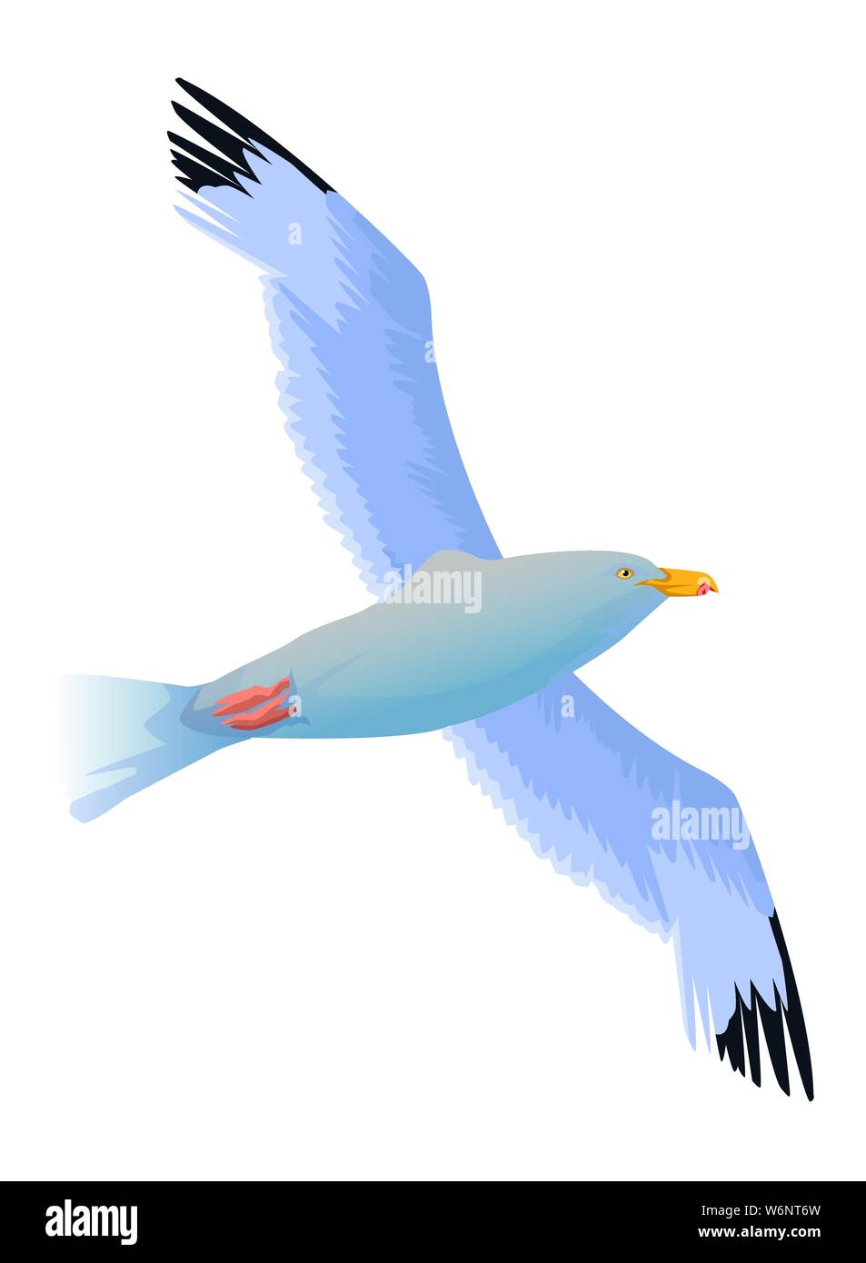 Seagull bird flying isolato cartoon Illustrazione Vettoriale