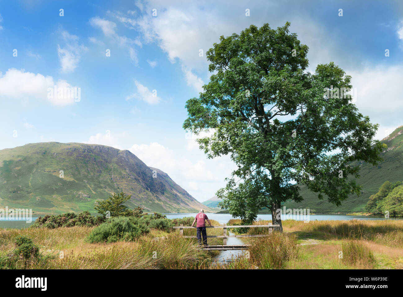 Un uomo si affaccia su Crummock acqua nel Parco Nazionale del Distretto dei Laghi, England, Regno Unito Foto Stock
