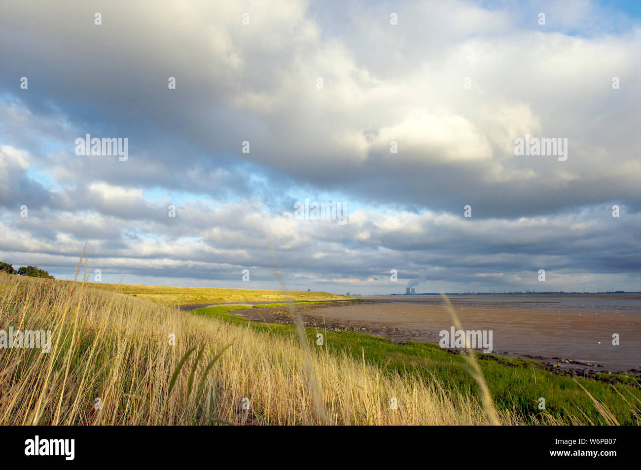 La Schelda occidentale con la bassa marea e la diga utilizzato come terreno coltivato con il Doel centrale nucleare in background in Zeeland, Paesi Bassi Foto Stock