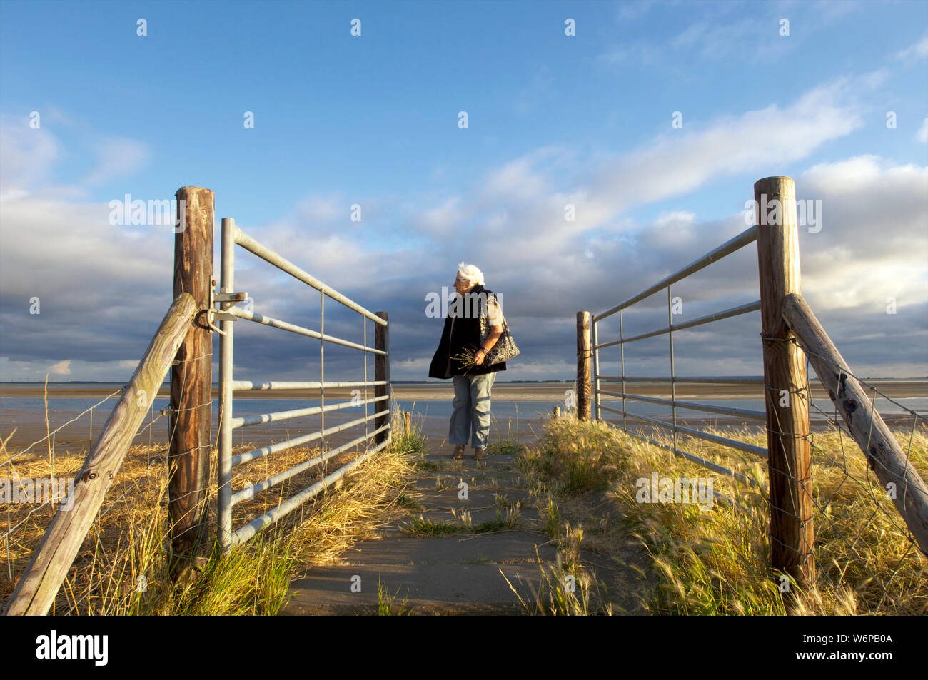 Donna anziana in piedi sulla diga e affacciato sulla Schelda occidentale in direzione di Anversa in Zeeland, Paesi Bassi Foto Stock