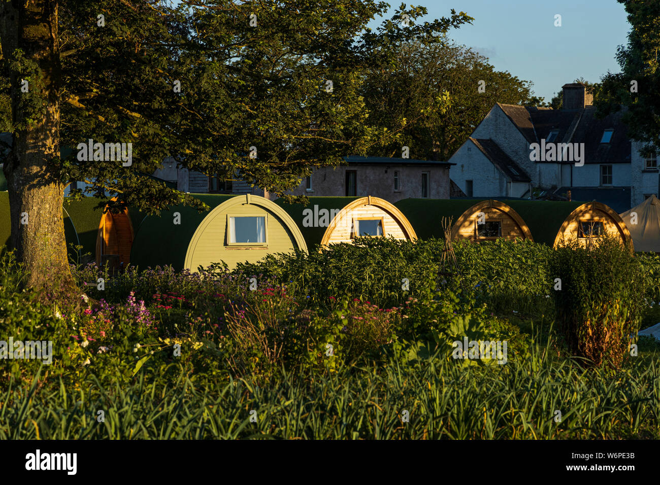 Glamping cialde a casa Cloughjordan, nella contea di Tipperary, Irlanda Foto Stock