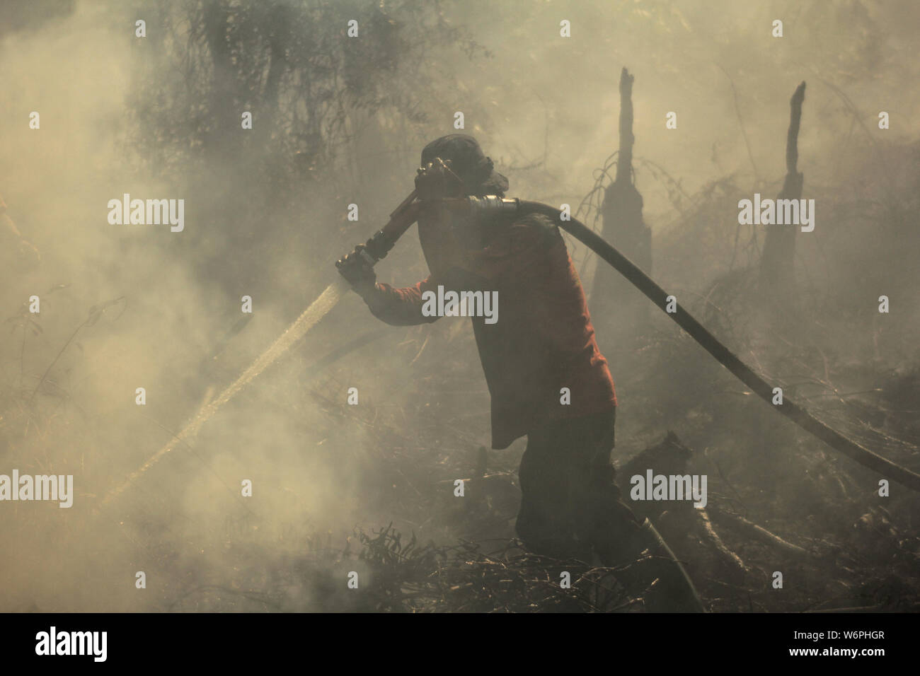 Riau, Indonesia. 2 agosto, 2019. Un vigile del fuoco Indonesiano da attenuazione regionale Disaster Management Agency di Pekanbaru tenta di estinguere incendi peatland a Pekanbaru, Riau, Indonesia, 2 agosto 2019. Il Pekanbaru meteorologia, climatologia e geofisica Agenzia rilevato 85 hotspot, indicando le occorrenze di potenziale di bush e di incendi di foreste in diverse parti dell isola di Sumatra il venerdì mattina. Credito: Xinhua/Alamy Live News Foto Stock