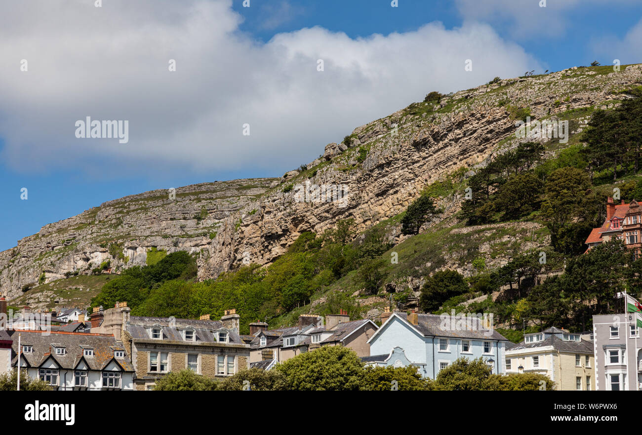 Il Great Orme una caratteristica naturale in Llandudno North Wales Maggio 2019 Foto Stock