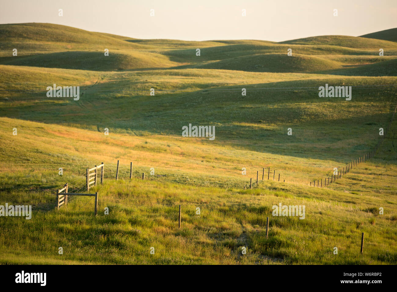 Le colline di mattina presto la luce in corrispondenza di blocco West di praterie del parco nazionale nel sud del Saskatchewan. Foto Stock