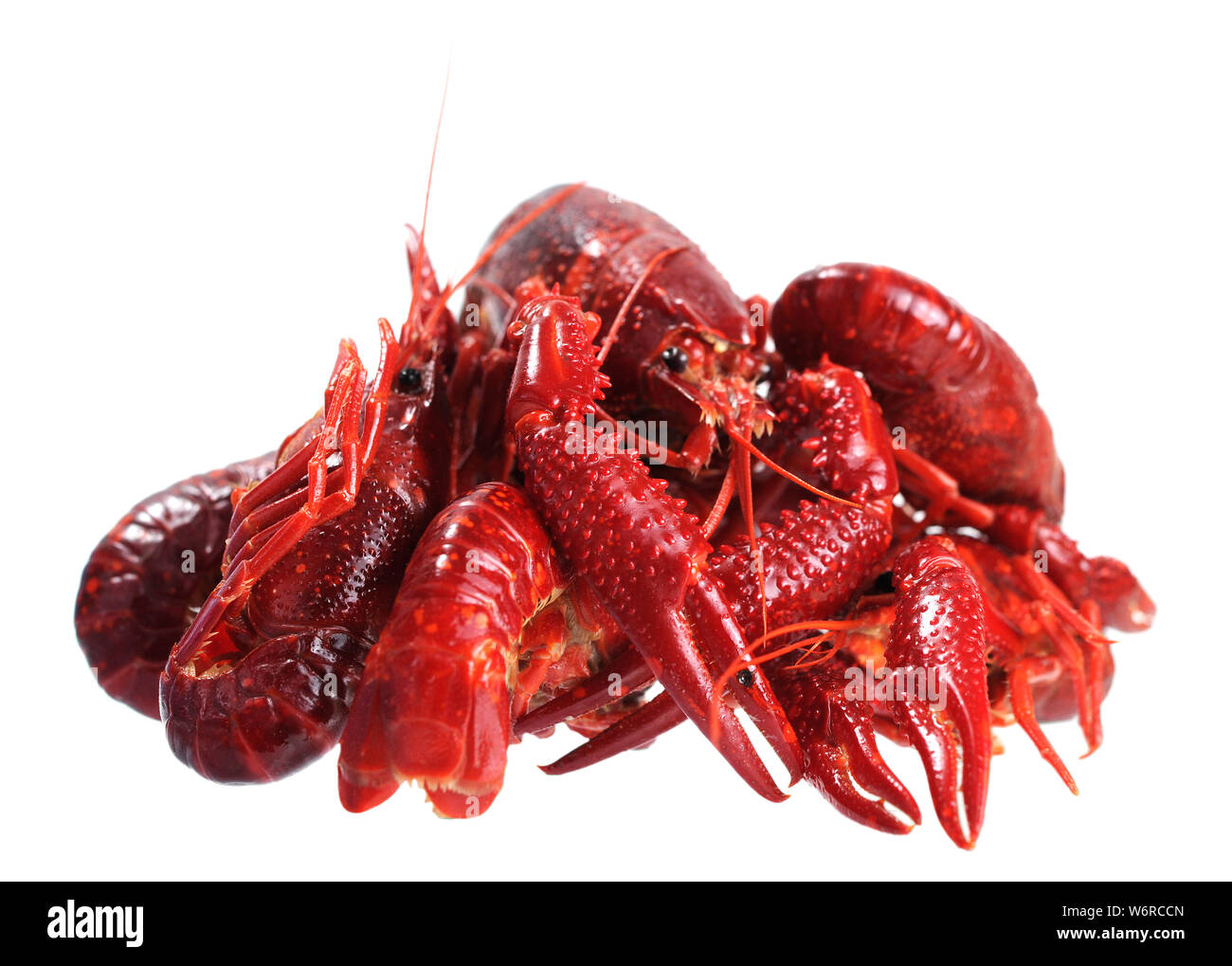 Bollito pesce craw isolato su bianco Foto Stock