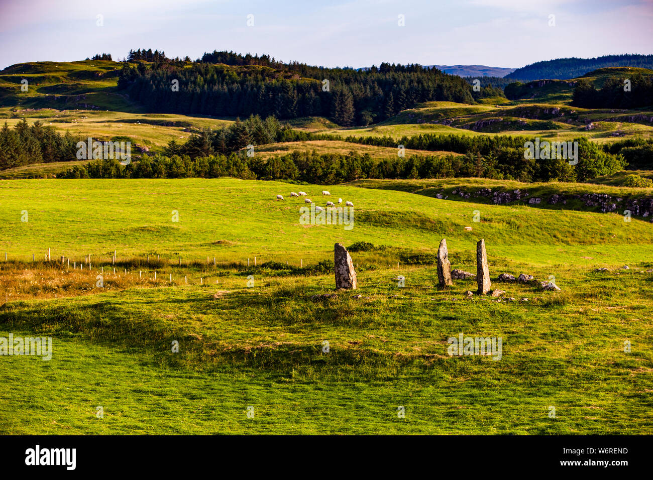 L'antico cerchio di pietra vicino al Castello di Glengrorm a Tobermory, Isola di Mull, Scozia. Un cerchio di pietra vicino al Castello di Glengrorm sull'isola di Mull in Scozia. Non più di poche pietre in piedi in posizione eretta in un prato. Ma la loro disposizione suggerisce che questo è un posto speciale Foto Stock