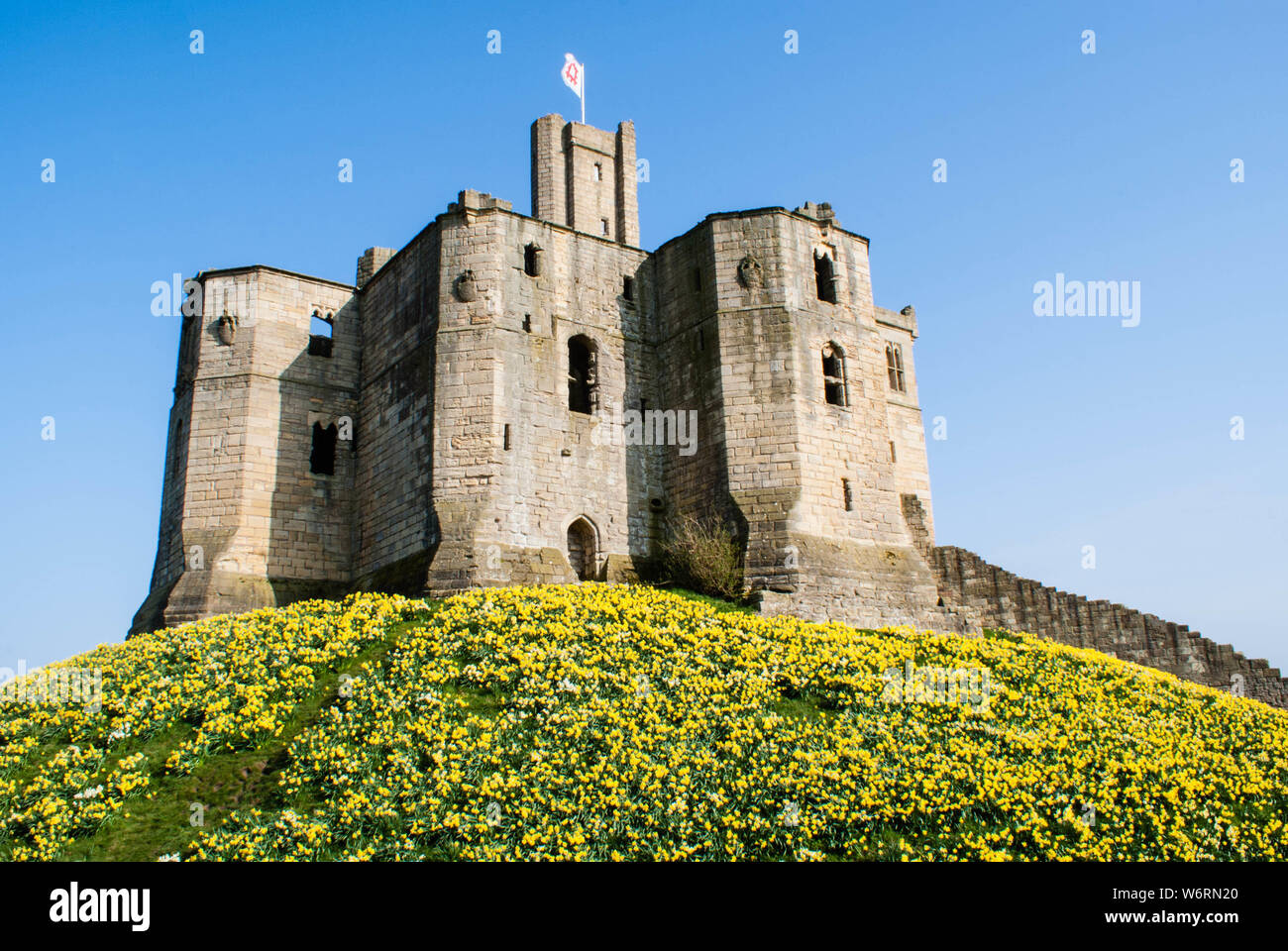 Il castello di Warkworth, Northumberland Foto Stock