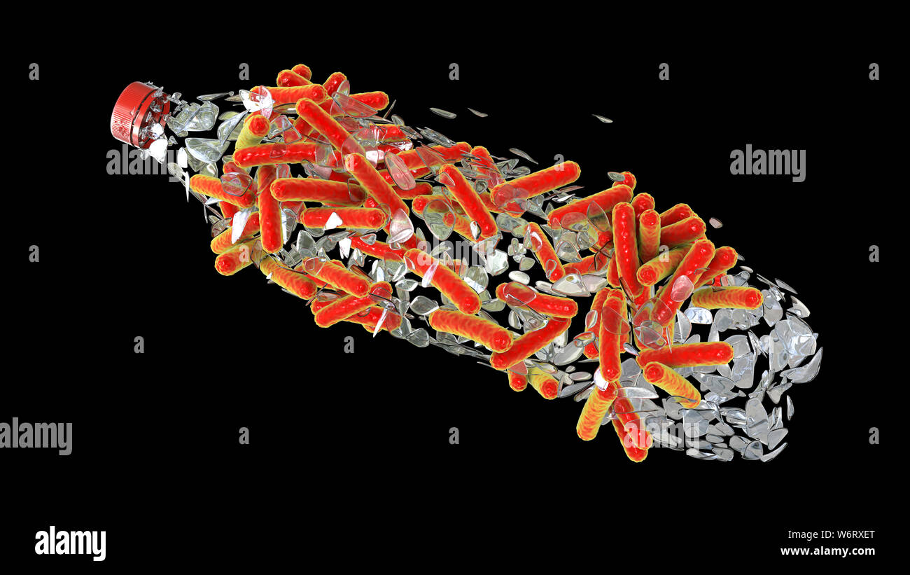 Computer illustrazione di Ideonella sakaiensis batteri degradare una bottiglia di plastica. I. sakaiensis fu scoperto nel 2016 nei sedimenti in prossimità di una bottiglia di plastica per strutture di riciclaggio in Giappone. È in grado di utilizzare la plastica di polietilene tereftalato (PET) come sua fonte primaria di energia. Per fare in modo che utilizza due enzimi, PET idrolasi (PETase) e MHET idrolasi (MHETase), per convertire il PET di acido tereftalico (TPA) e glicole etilenico. Foto Stock