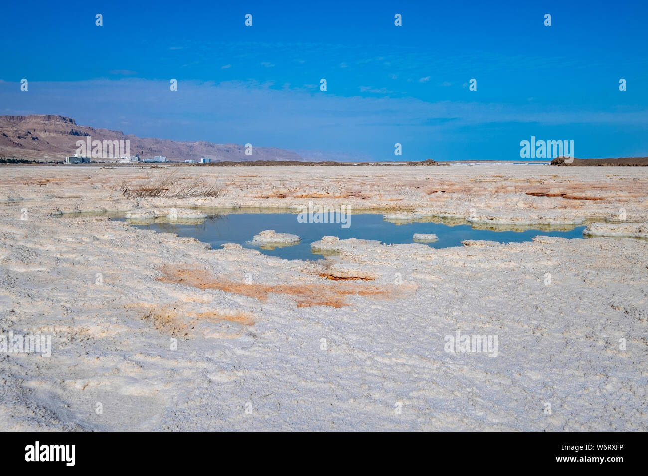 La formazione del sale causata dall'evaporazione dell'acqua sulla riva del Mar Morto, Israele. Foto Stock