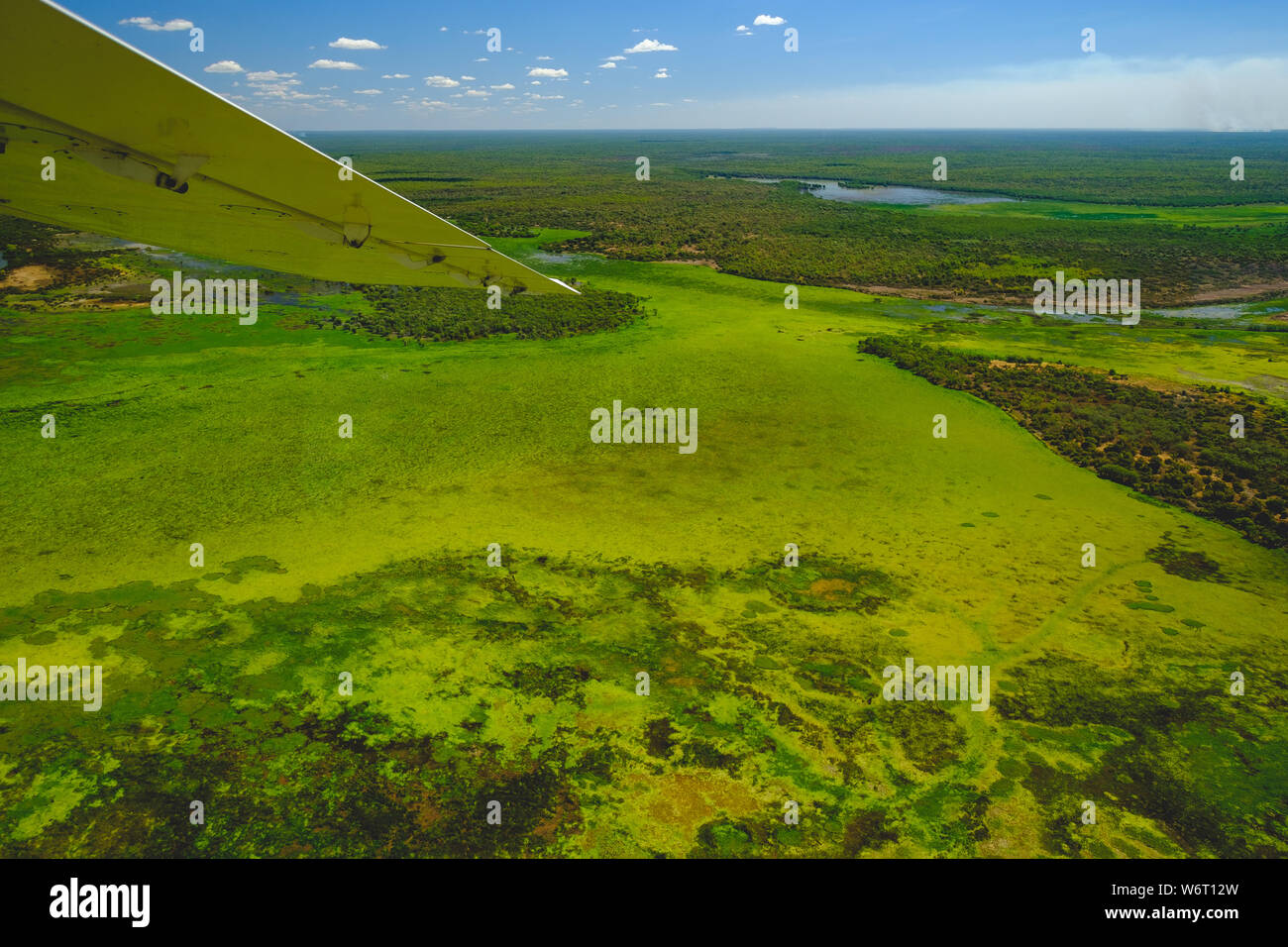 Vibrante paesaggio verde - vista superiore Foto Stock