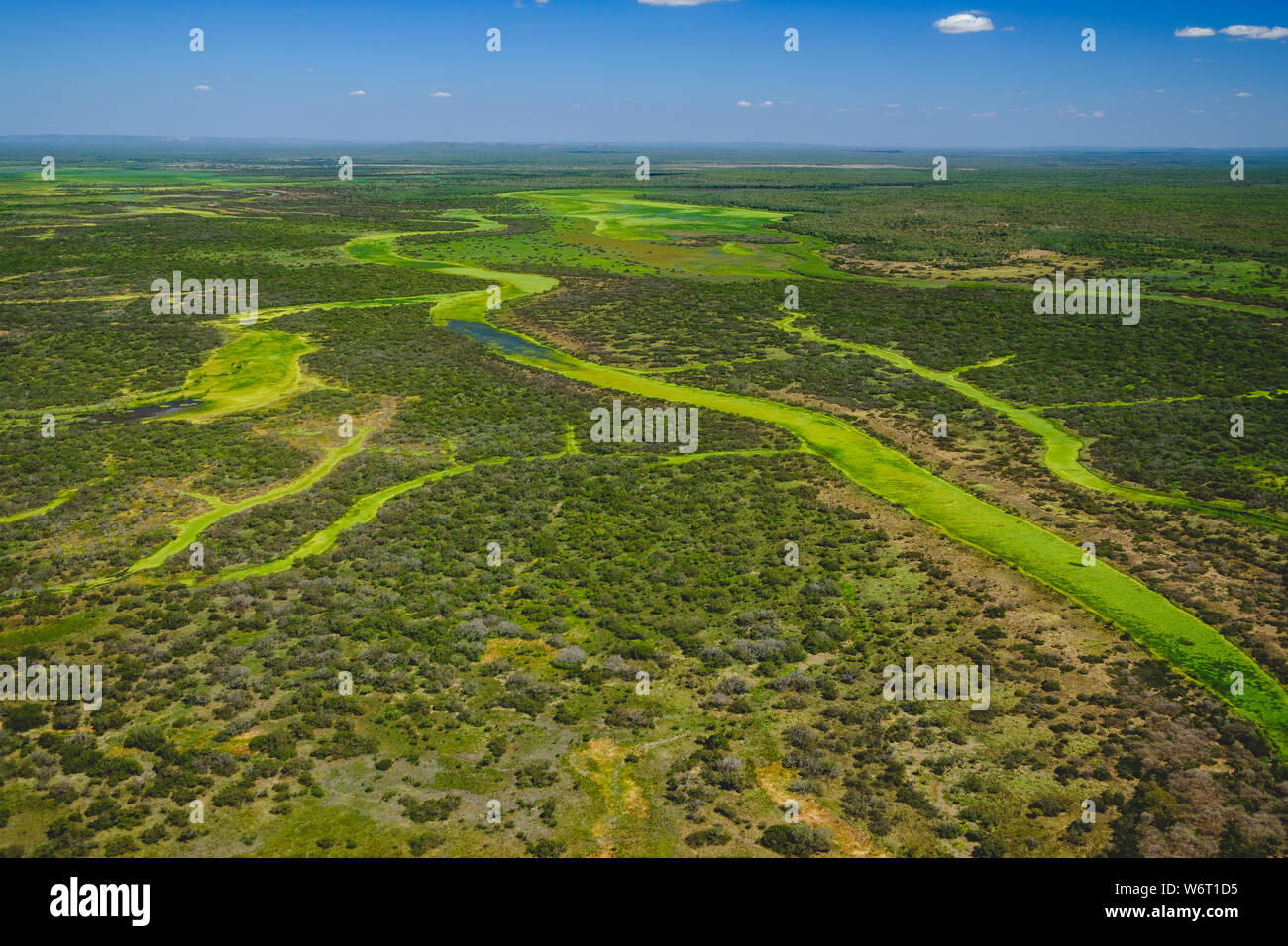 Vibrante paesaggio verde - vista superiore Foto Stock