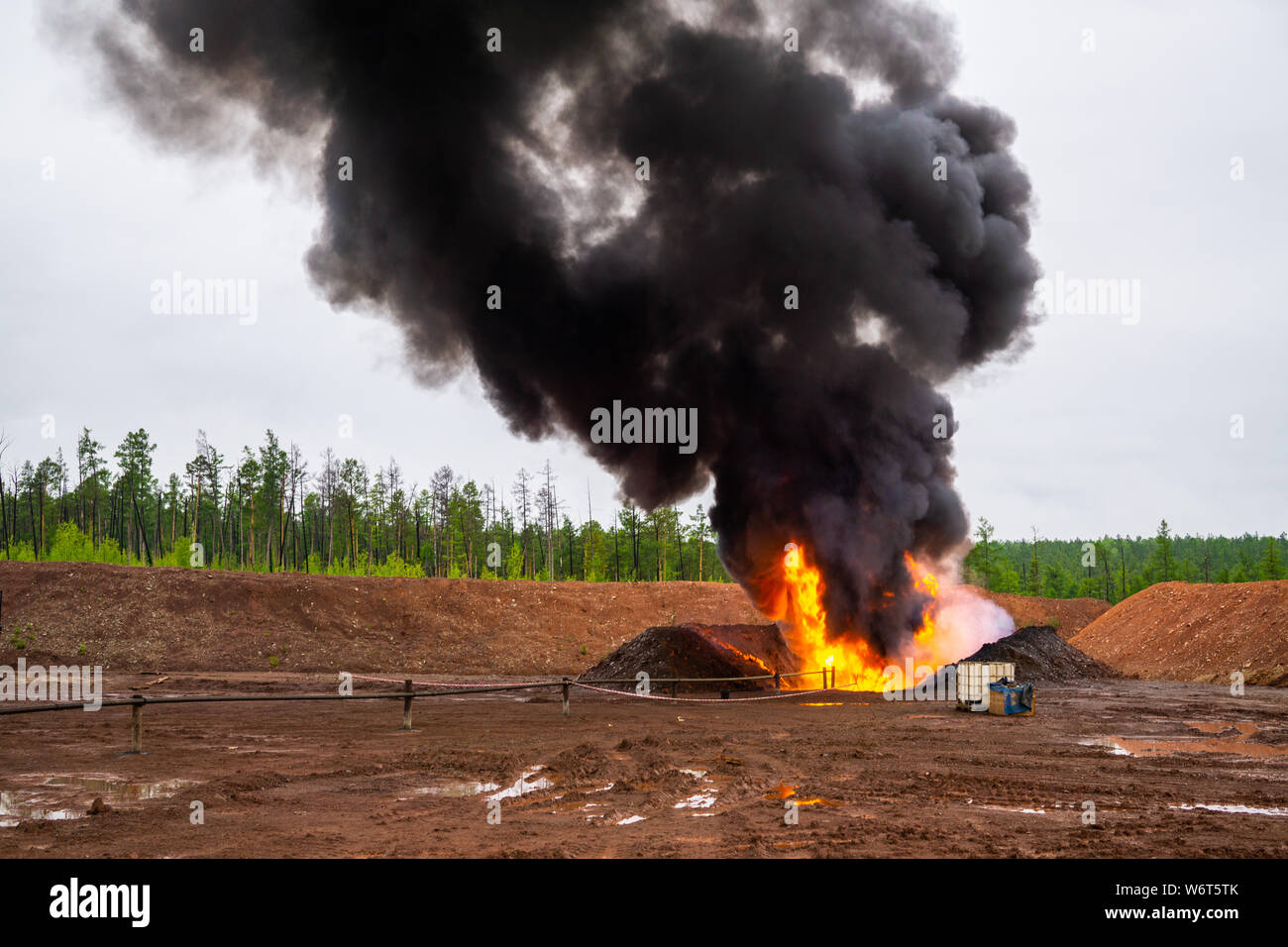 Gli incendi boschivi. Masterizzazione illegale rifiutare, fumo velenoso, vigili del fuoco e dei fumi, nuvole di fumo tossico. Fumo di foresta e impianto di alimentazione. Inquinamento atmosferico Foto Stock