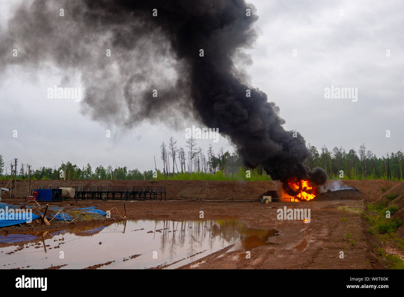 Gli incendi boschivi. Masterizzazione illegale rifiutare, fumo velenoso, vigili del fuoco e dei fumi, nuvole di fumo tossico. Fumo di foresta e impianto di alimentazione. Inquinamento atmosferico Foto Stock