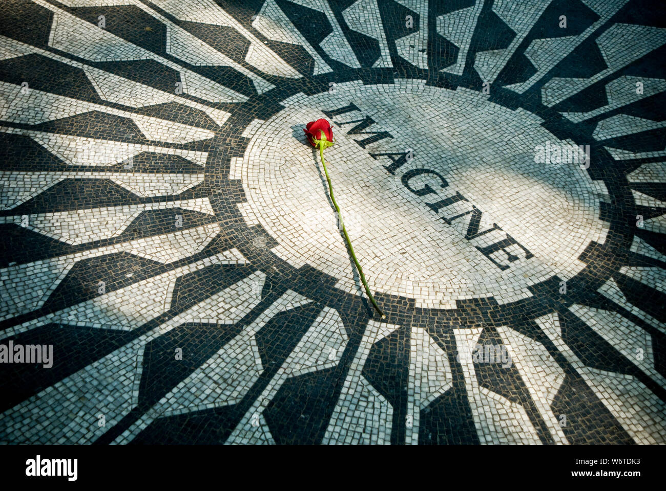 Una sola rosa rossa posta al centro del mosaico immaginare a Strawberry Fields in New York City Central Park, un monumento al musicista John Lennon. Foto Stock