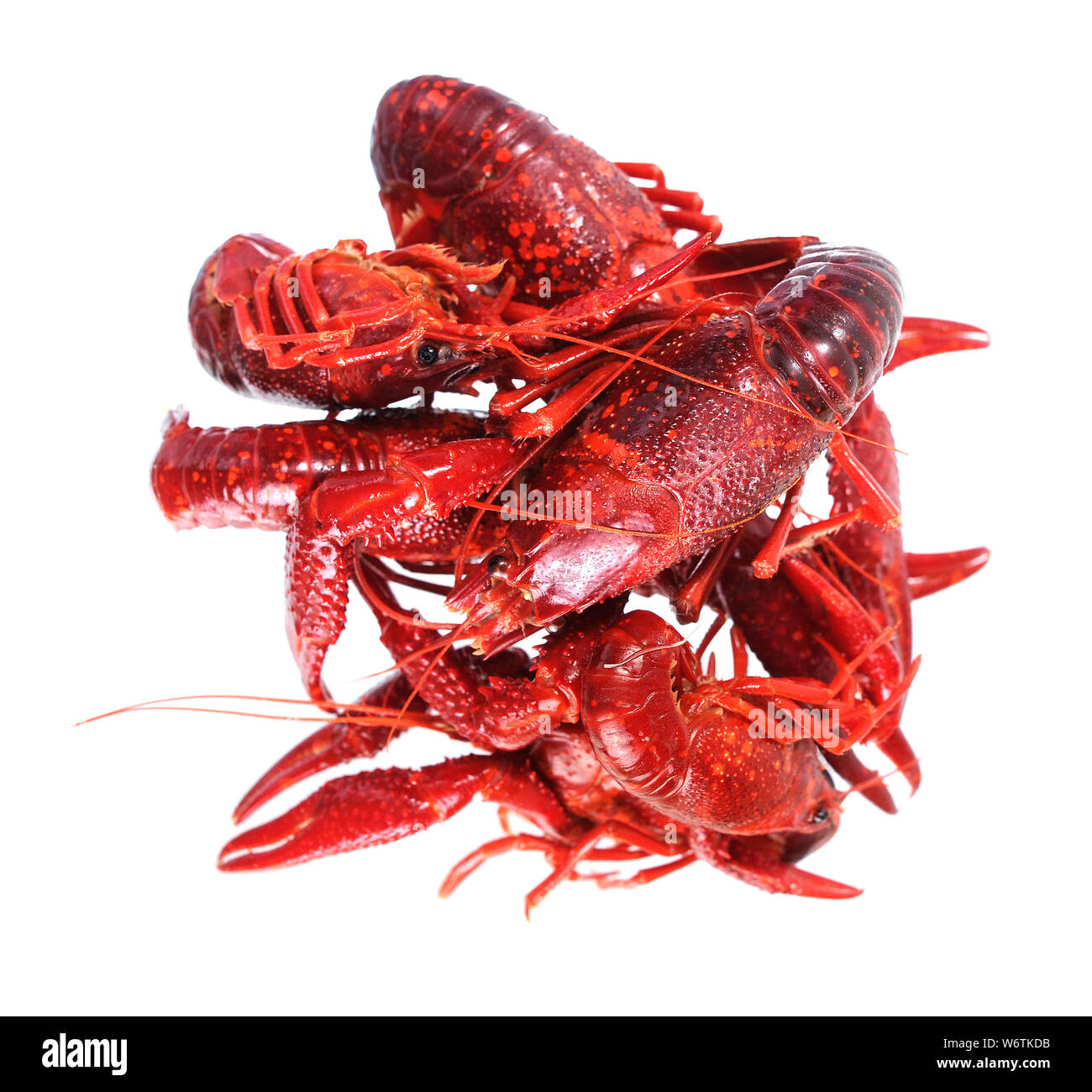 Bollito pesce craw isolato su bianco Foto Stock