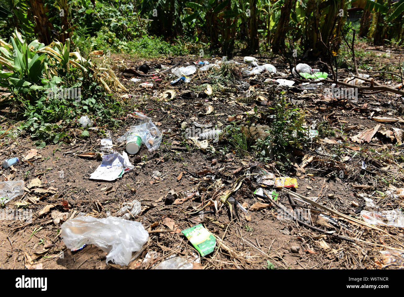 LA PLASTICA NELLA TERRA