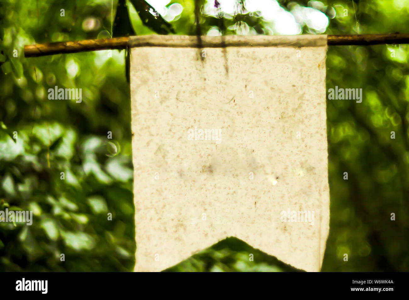 White Pennant Premio bandiera banner. Blank pennant template design mockup. Spazio vuoto della pubblicità. Sullo sfondo della natura Foto Stock