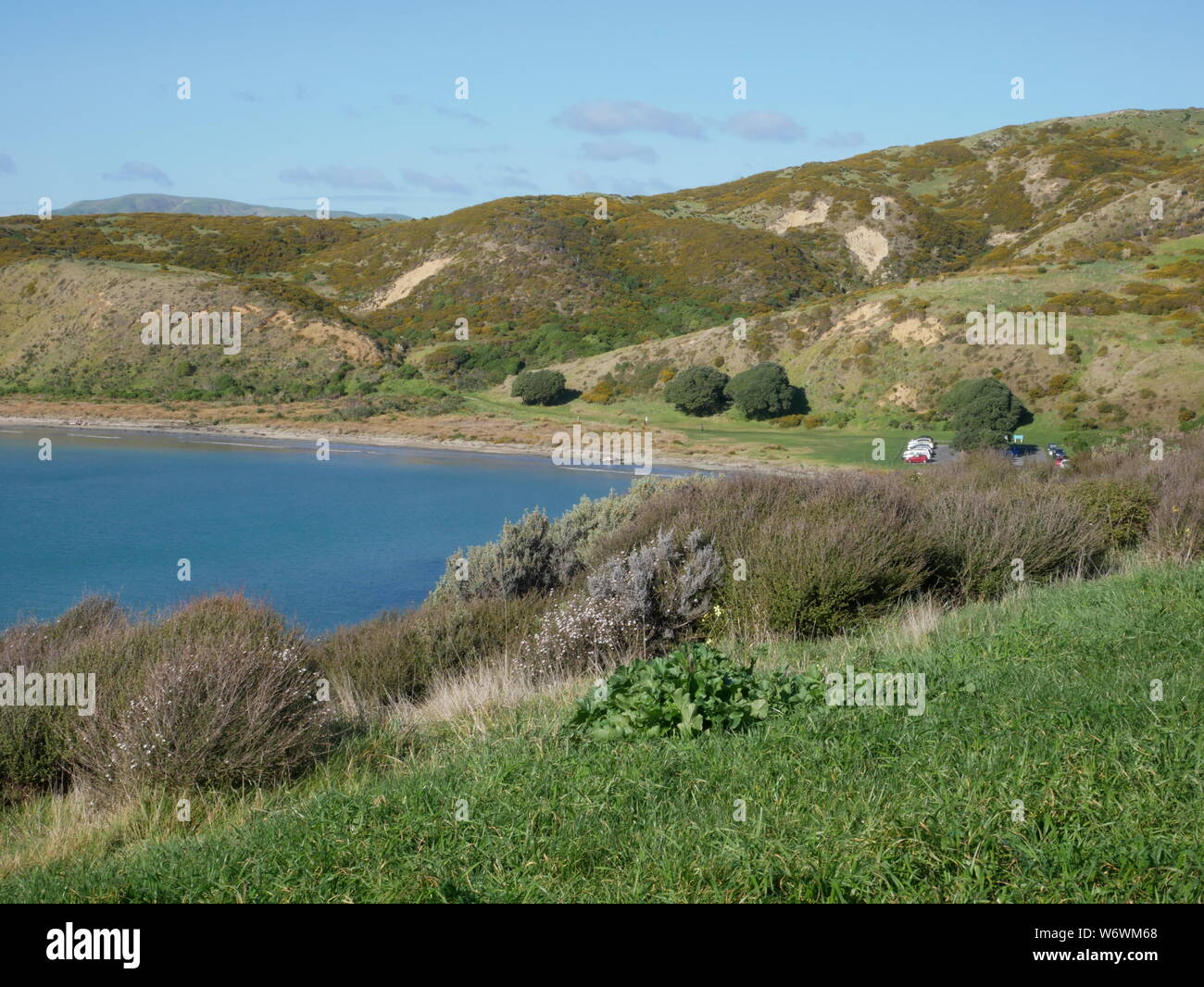 Tranquilla baia blu nel verde delle colline con un parcheggio auto a distanza - Whiteria Parco Regionale, Porirua, Wellington Foto Stock