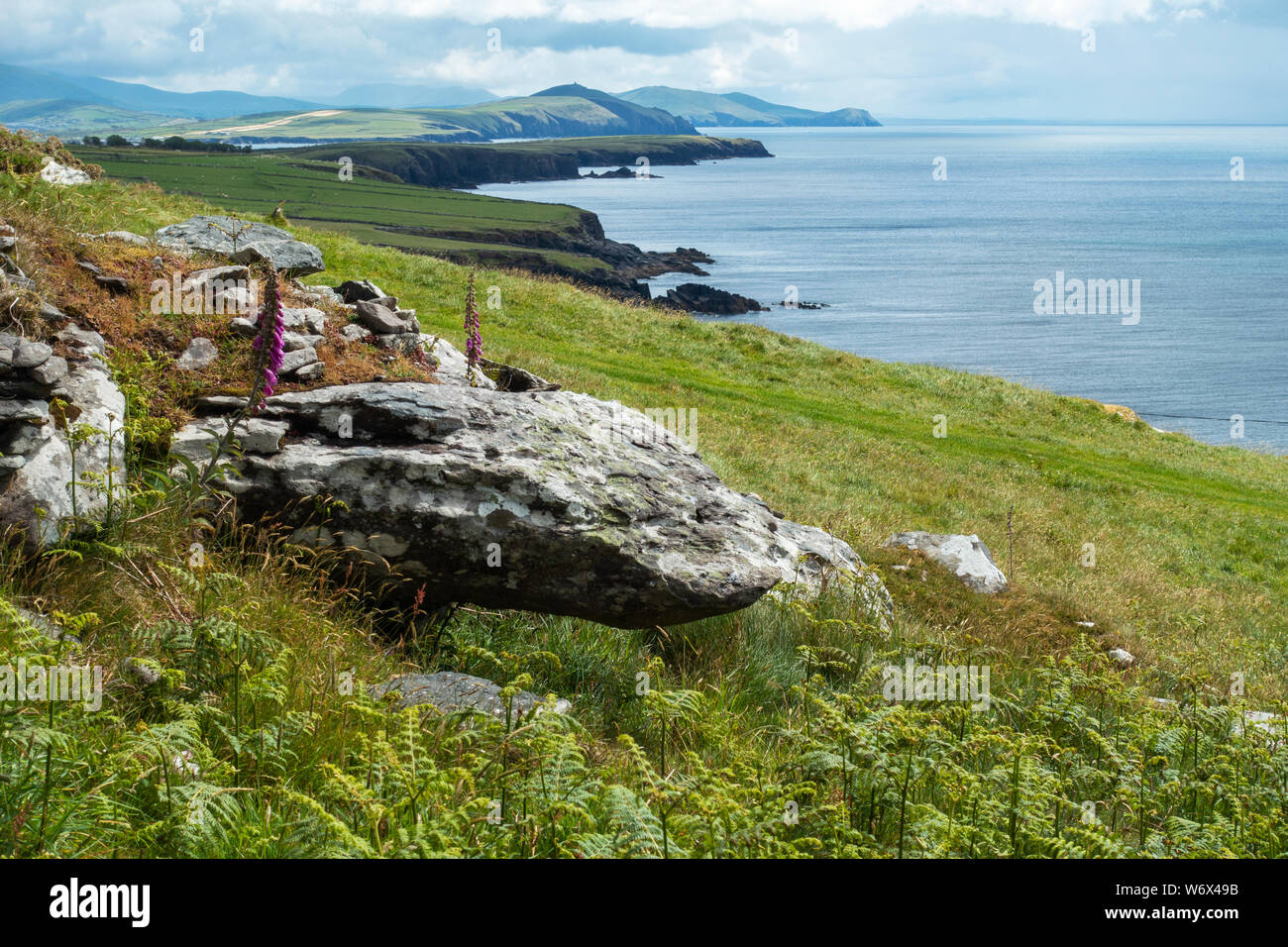 Vista guardando verso est lungo la costa da Caher Conor Beehive capanne a Fahan sulla penisola di Dingle, nella contea di Kerry, Repubblica di Irlanda Foto Stock